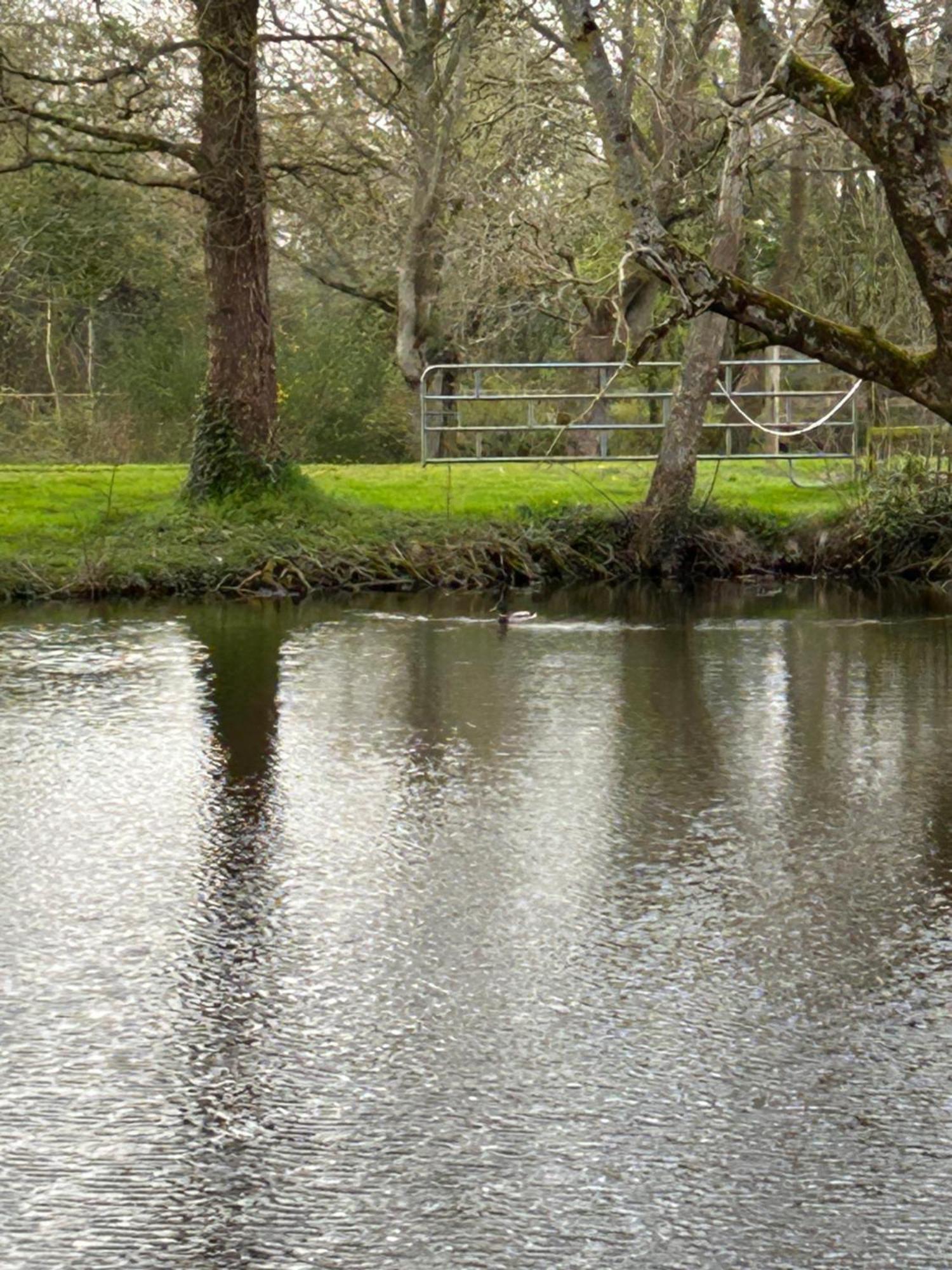 La Maison De L'Etang Manerbe Zewnętrze zdjęcie