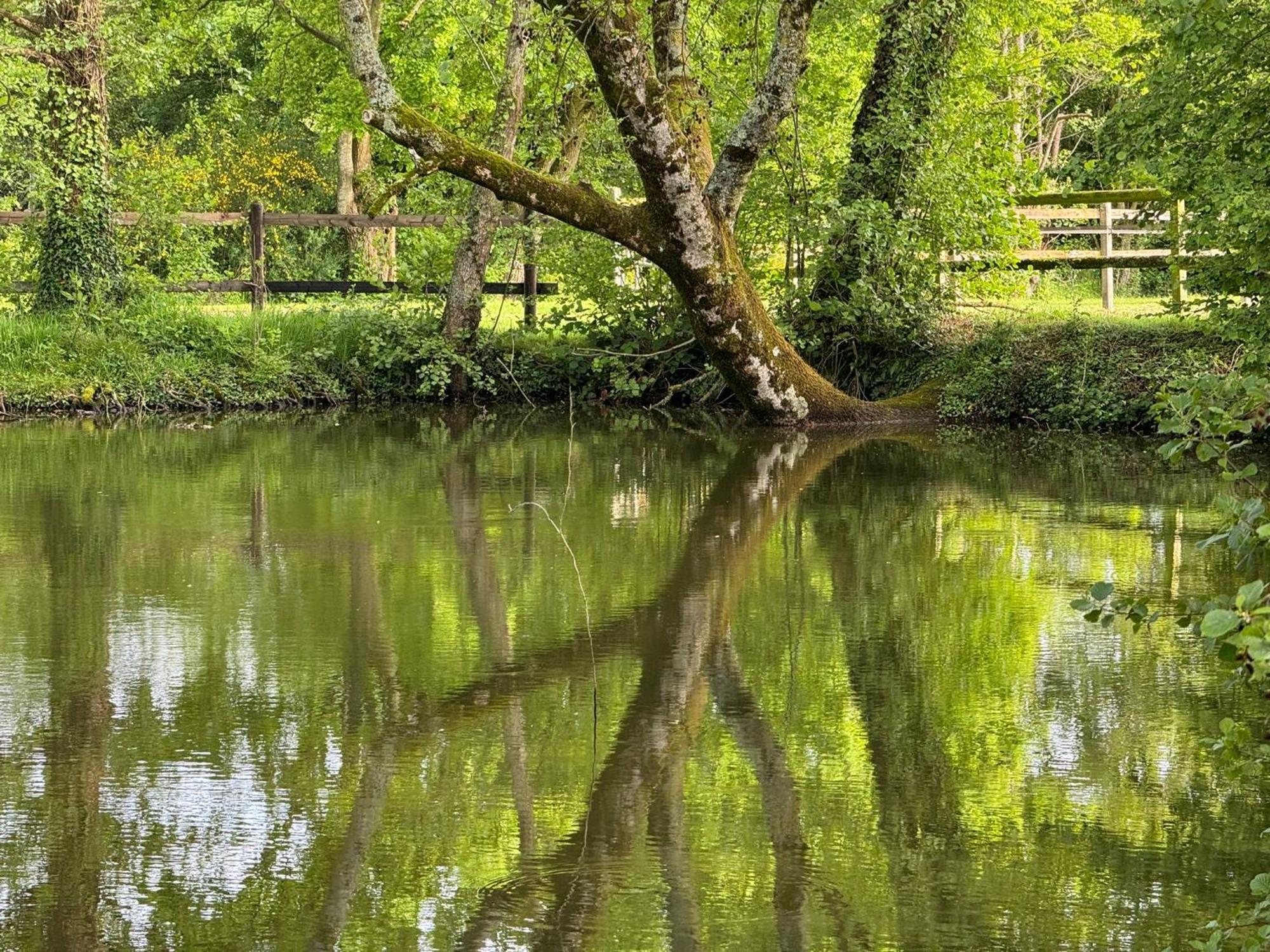 La Maison De L'Etang Manerbe Zewnętrze zdjęcie